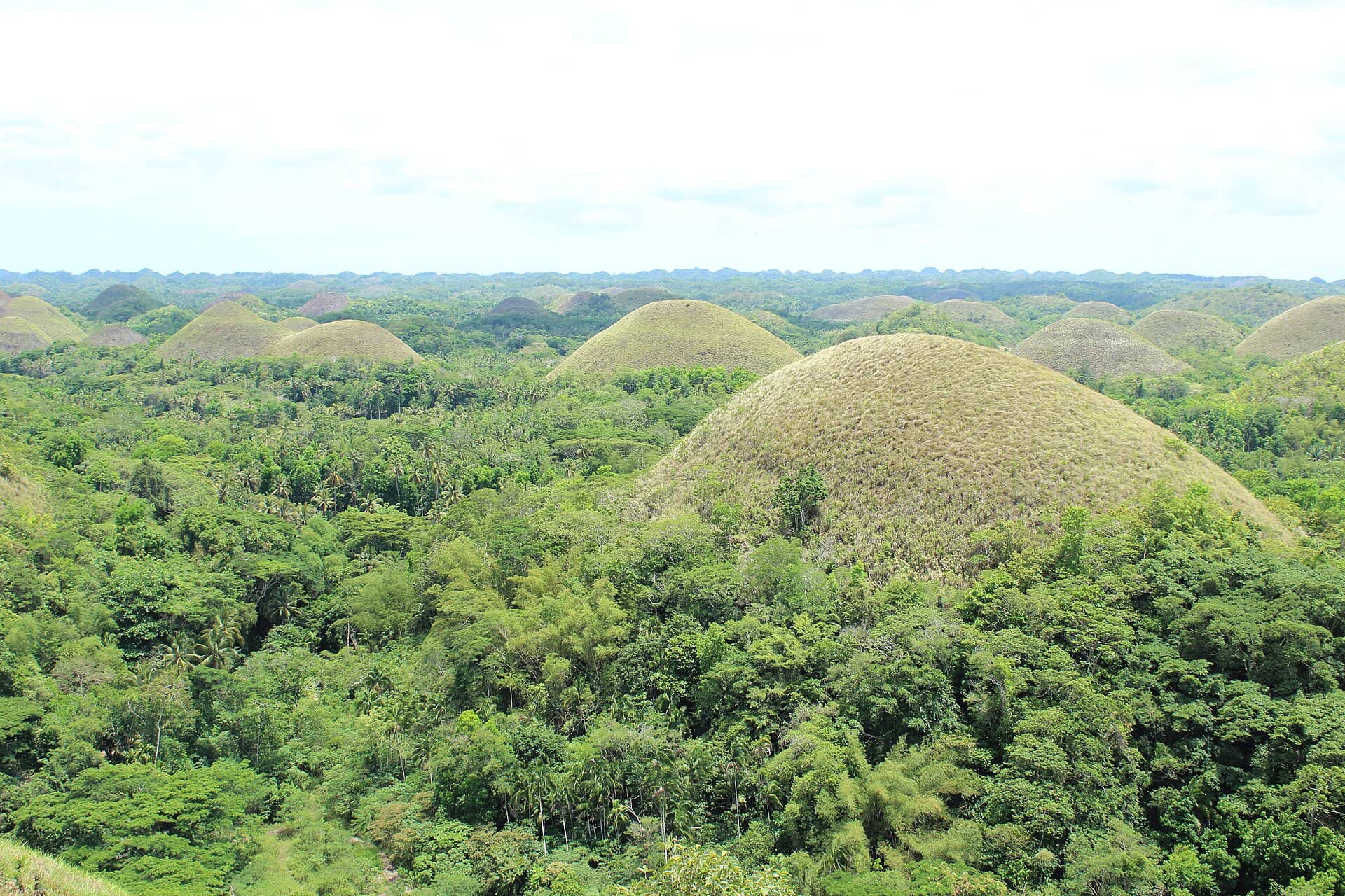 Chocolate Hills, Bohol